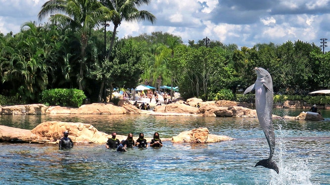 SeaWorld Orlando houses dolphins at Discovery Cove as well as at the theme park and at Aquatica water park.