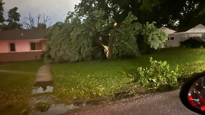 Trees down near Platte Woods, Missouri on June 8, 2022 after a severe thunderstorm. (Image: @Jimbo_Slice47/Twitter)