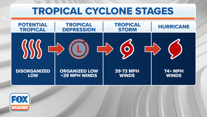 The different stages of a tropical cyclone are displayed in this infographic.