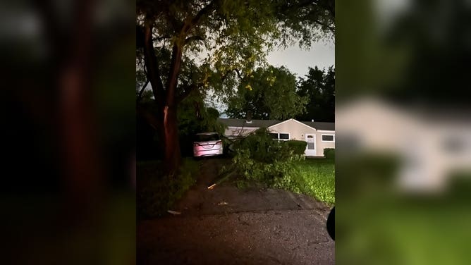 Trees down near Platte Woods, Missouri on June 8, 2022 after a severe thunderstorm. (Image: @Jimbo_Slice47/Twitter)