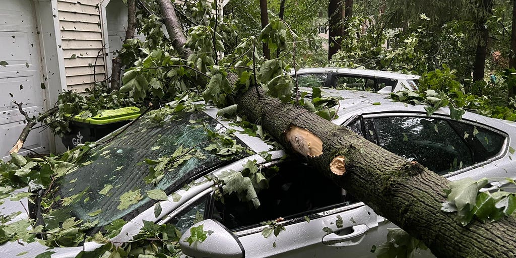 Watch wind-driven storms wreak havoc from DC to New York City | Fox Weather