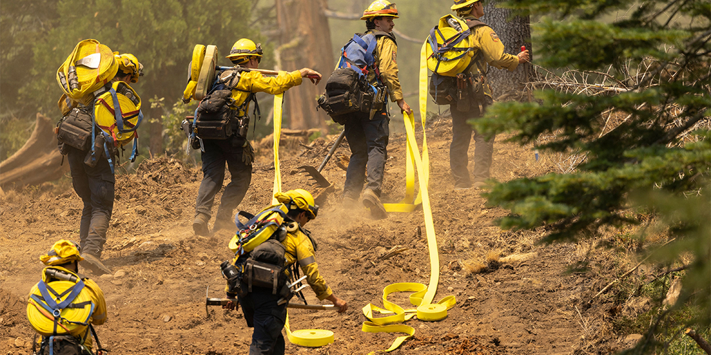 Un ataque implacable de los equipos de bomberos está ayudando a contener la propagación del Incendio Oak cerca de Yosemite, California.
