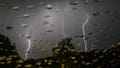 Severe thunderstorms threaten South on warm side of coast-to-coast winter storm - Fox News