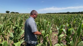 'Depressing, hard, dry, frustrating': Fertile Oklahoma farm land turns to dust amid expanding drought