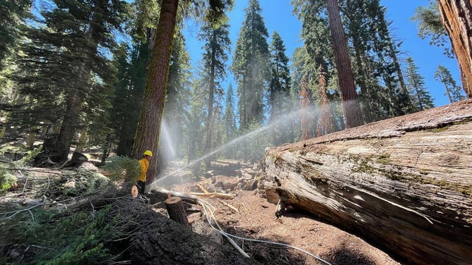 Washburn Fire operations