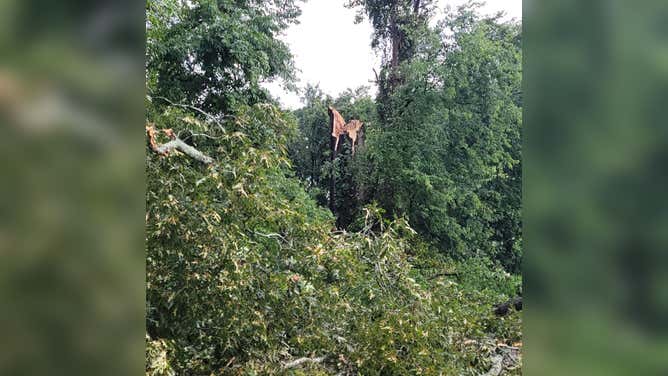 Virginia storm damage
