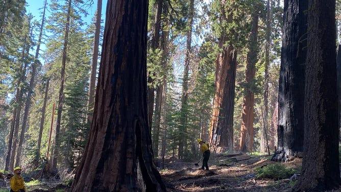 Washburn Fire operations