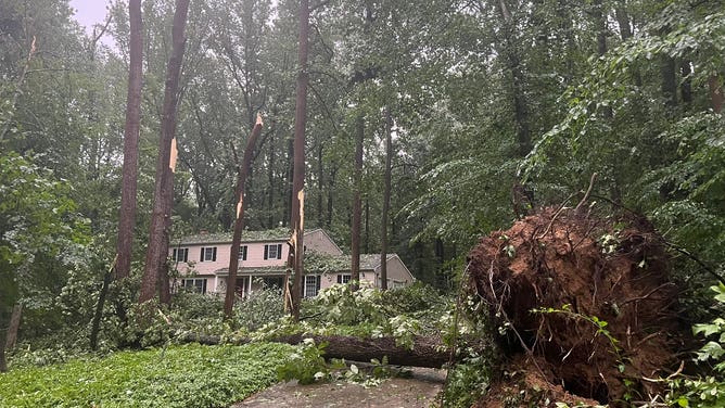 Storms With Hurricane Force Winds Topple Trees In Mid Atlantic Northeast