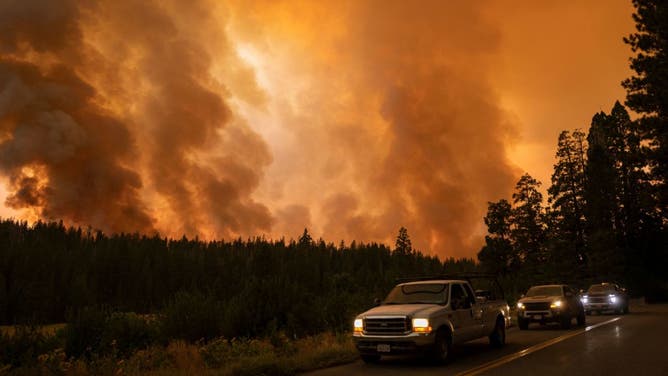 A forest is incinerated by the Oak Fire near Midpines, northeast of Mariposa, California, on July 23, 2022.