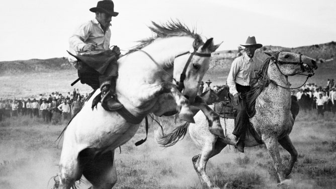 A cowboy desperately holds on to a bucking horse at a Texas Rodeo.