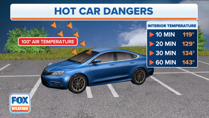 Hot Car Dangers