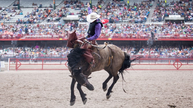 A rodeo cowboy on a horse