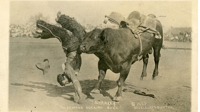 A bull bucks a cowboy off of his back.