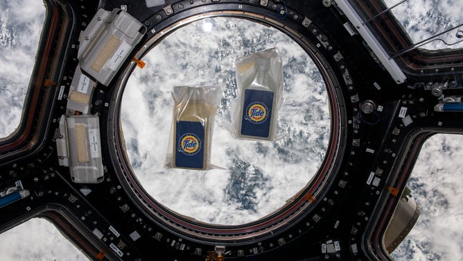 Part of the P&G Tide experiment elements pictured floating in the space station cupola.