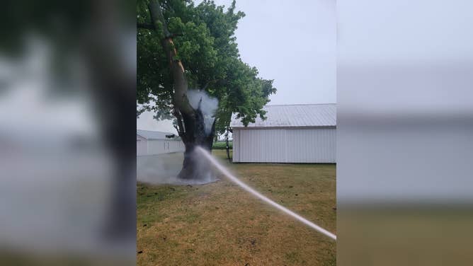 Lightning Can Do Some Crazy Things Tree Burns From Inside After Lightning Strike In Ohio 