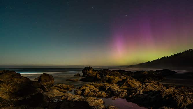 Nature's magic: Northern Lights appear as ocean glows blue from
