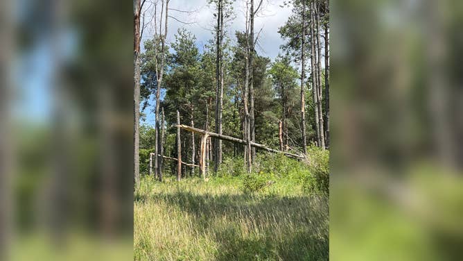 New York Tornado Damage