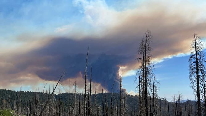 California Oak Fire