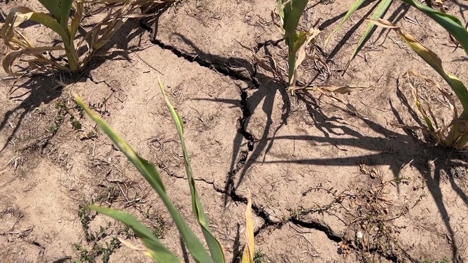 Dry farm in Oklahoma