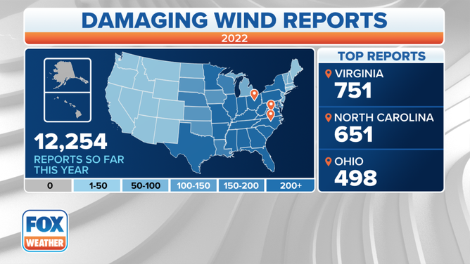 Wind Reports
