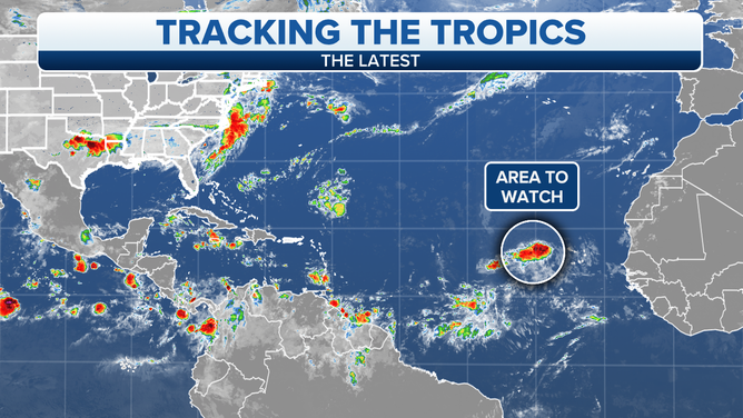A large tropical disturbance is strolling west toward the central Atlantic
