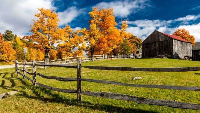 New England farm with Autumn Sugar Maples