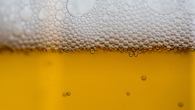 C02 shortage threatens beer supplies during World Cup