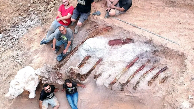 In August 2022, a team of Portuguese and Spanish paleontologists has been working at the paleontological site in Monte Agudo, Pombal (Portugal).