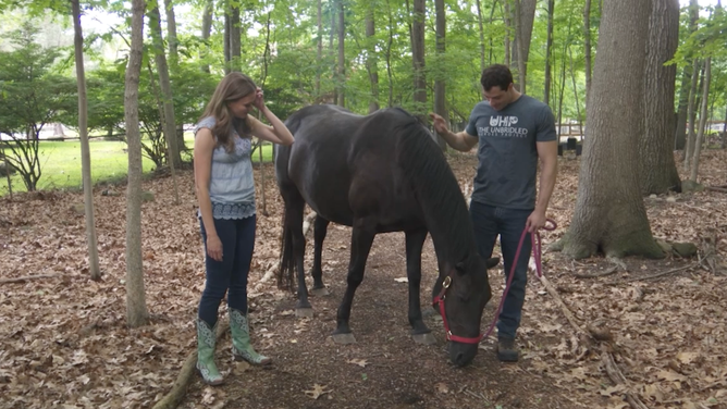 Merwin on a walk with Caccavale and his horse at the Unbridled Heroes Project.