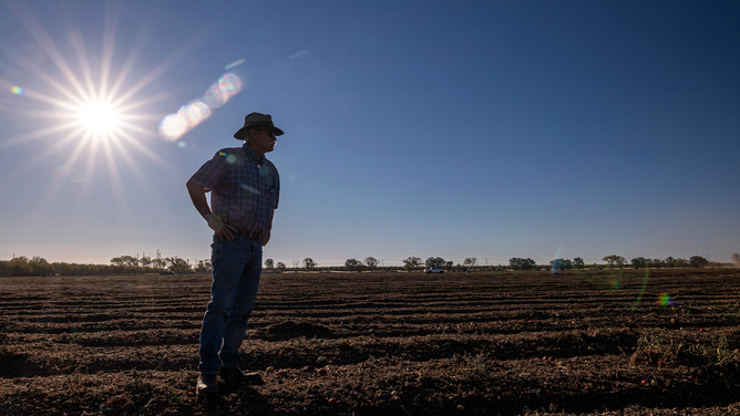 Bruce Rominger in his tomato field in Winters, California, US, on Friday, Aug. 12, 2022. Drought and water shortages are hurting processing tomato production in a region responsible for a quarter of the worlds output, with the squeeze set to exacerbate already elevated prices for tomato-based goods.
