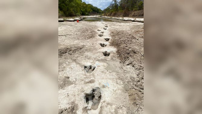 Dinosaur tracks found in Texas
