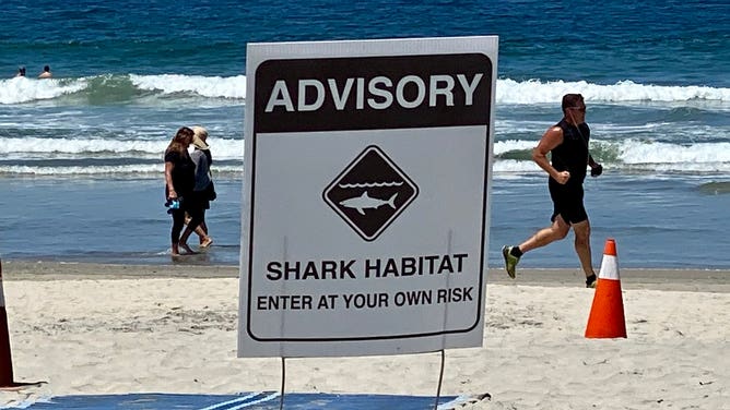 Climate Change Phenomenon Inspires Santa Cruz White Shark Tours – NBC Bay  Area
