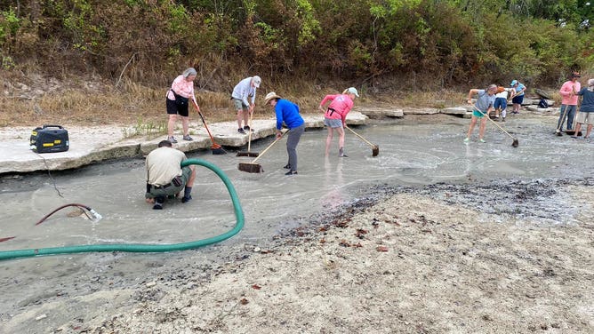 Dinosaur tracks found in Texas
