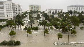 40 million homes at risk of significant hurricane damage, private research company finds