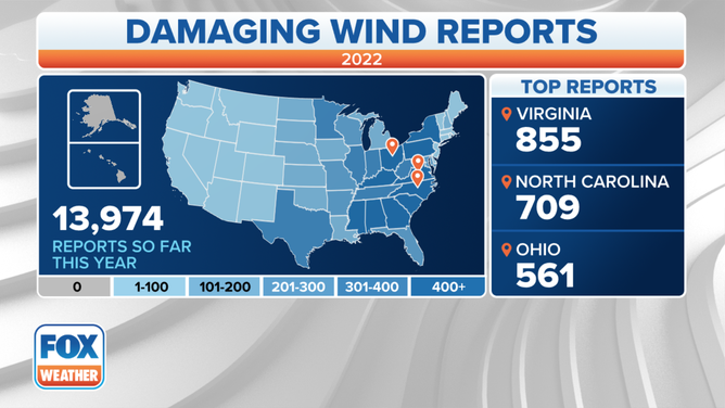 Wind Reports