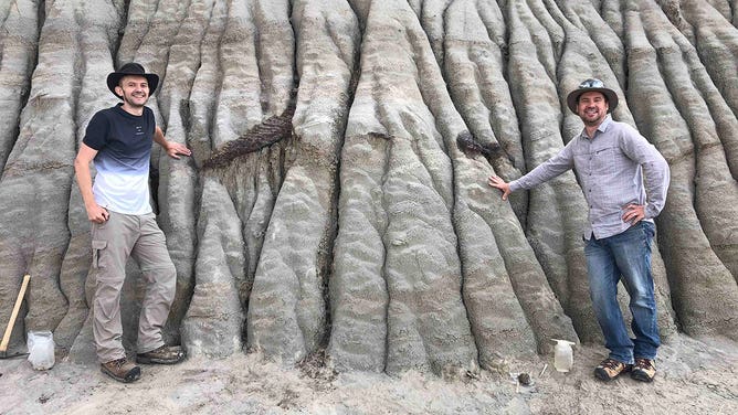 Brian Pickels and Caleb Brown stand next to the exposed fossil of a hadrosaur in Alberta, Canada, on Aug. 18, 2022.