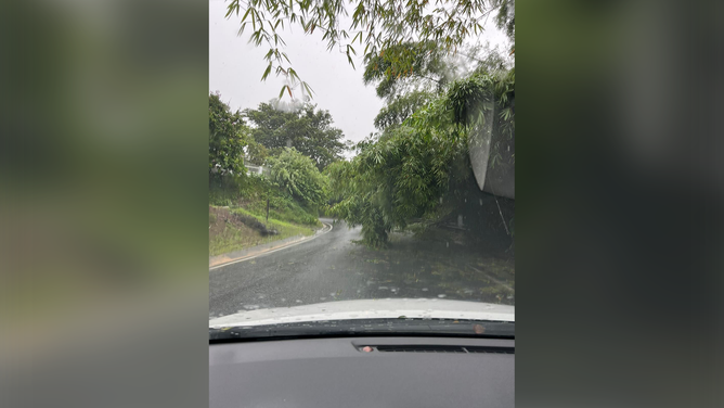 Damage from Hurricane Fiona in Bayamon, Puerto Rico