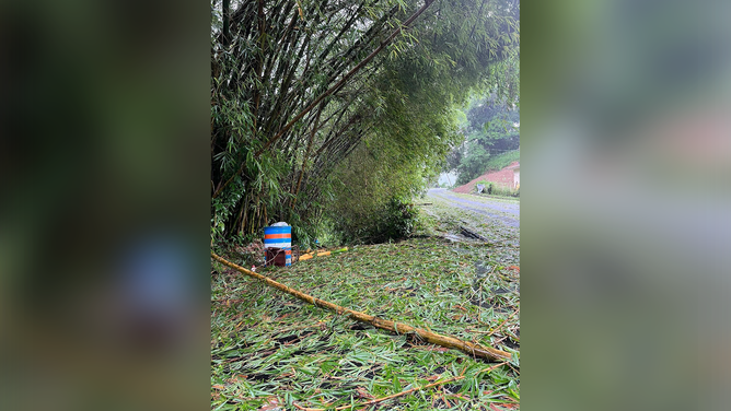 Damage from Hurricane Fiona in Bayamon, Puerto Rico