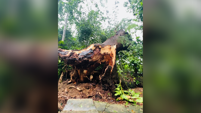 Damage from Hurricane Fiona in Bayamon, Puerto Rico