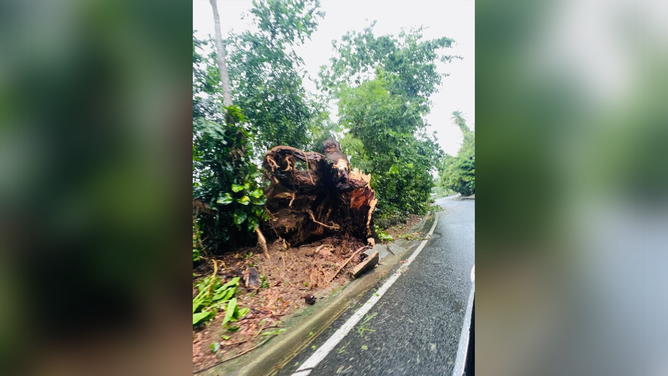 Damage from Hurricane Fiona in Bayamon, Puerto Rico