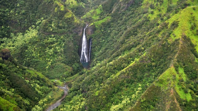 Jurassic Park falls