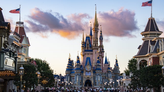 Black bear spotted at Disney World s Magic Kingdom forcing more