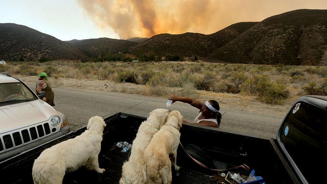 Robert Monje gives water to his dogs. after evacuatiung his residence along Batista Road near Hemet because of the Fairview fire on Tuesday, Sep. 6, 2022.