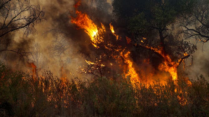 Brush fire Fairview Fire rages on third day in Bautista Canyon on Wednesday, Sept. 7, 2022 in Hemet,