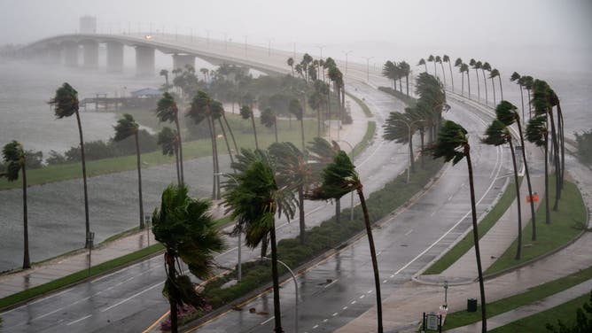 ams Into West Coast Of Florida