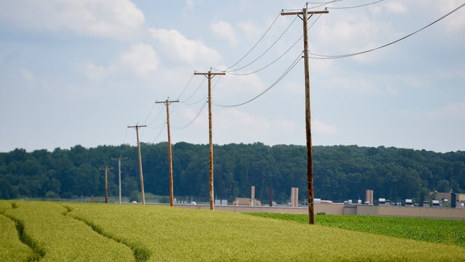 Utility poles next to wheat growing in a field in Pennsylvania.