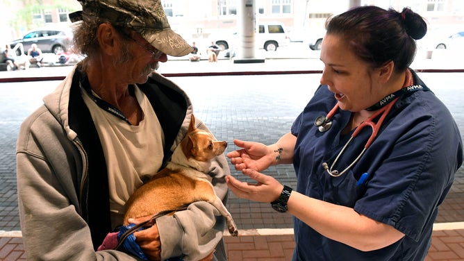 Tinkerbell the chihuahua visits a clinic to receive care, such as her vaccinations.