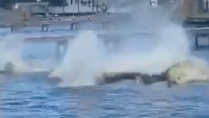 Flip is no longer visible, as she becomes surrounded by the splashing waters.