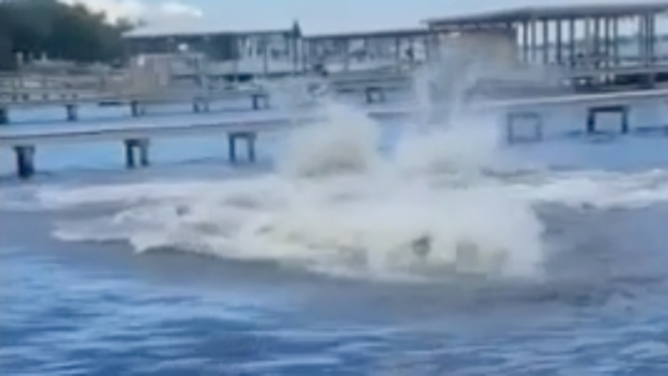 The splashing frenzy continues, with Flip only appearing as a tiny dot in the white waves.