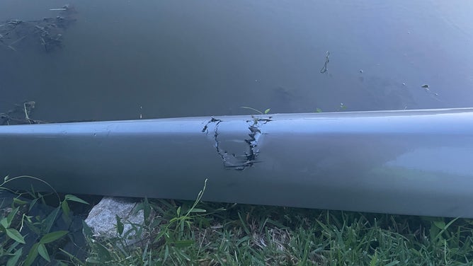 Bite marks on Eugene Janssen's rowing boat from a gator he encountered in Oyster Creek, TX.